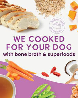 Health Extension Gently Cooked Wet Dog Food Pouches