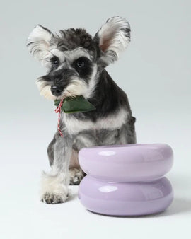 Souffle Pet Bowl - Purple