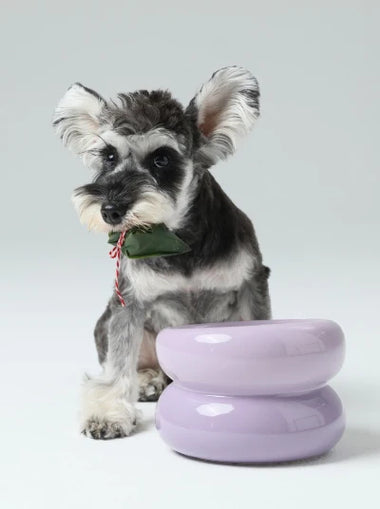 Souffle Pet Bowl - Purple
