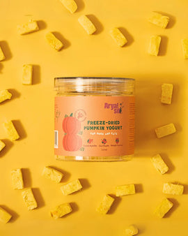 Arya Sit Freeze Dried Pumpkin Yogurt