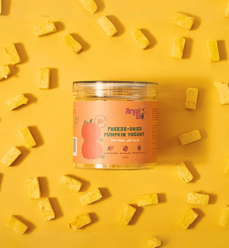 Arya Sit Freeze Dried Pumpkin Yogurt