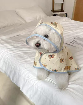 Teddy Bear Raincoat
