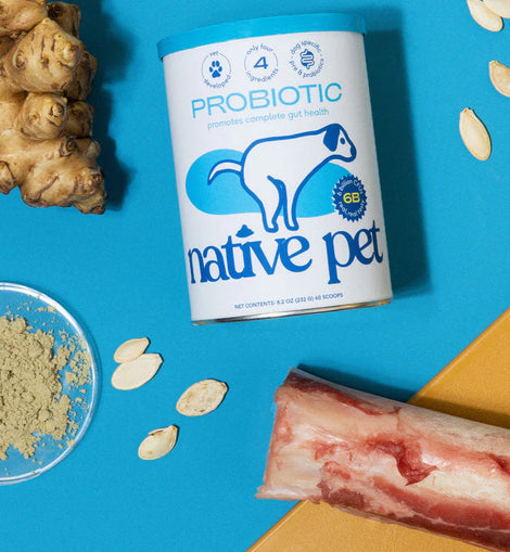 NATIVE PET PROBIOTIC