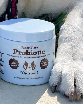 NATURAL DOG COMPANY Super-Flora Probiotic Supplement