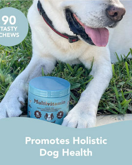 NATURAL DOG COMPANY Multivitamin Supplement