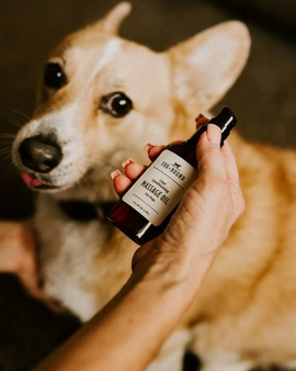 Calming Massage Oil For Dogs Essential Oil / Lavender Oil