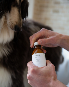 Super Soft: Organic Dog Conditioner