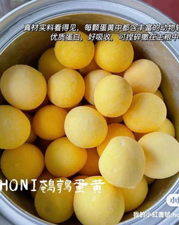 Honi Freeze-Dried Quail Egg Yolk 60g