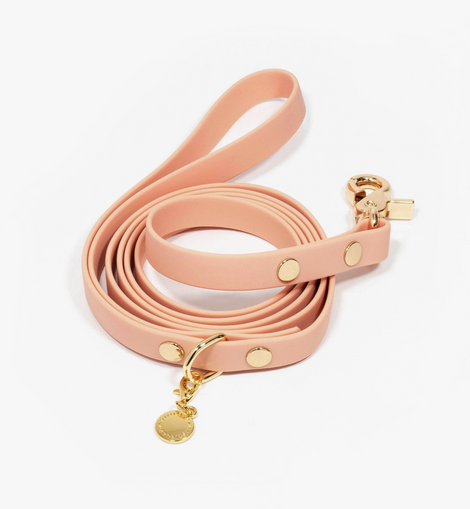 Dog Leash Waterproof - Peach  5 ft