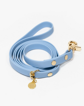 Dog Leash Waterproof - Blue 5 ft