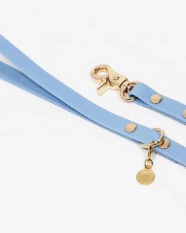 Dog Leash Waterproof - Blue 5 ft