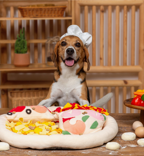 Pizza Snuffle Toy