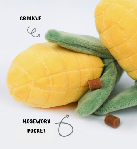 Sweet Corn