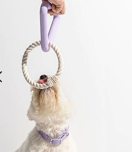 Small Triangle Tug Toy