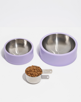 Non-Skid Stainless Steel Pet Bowl - Small