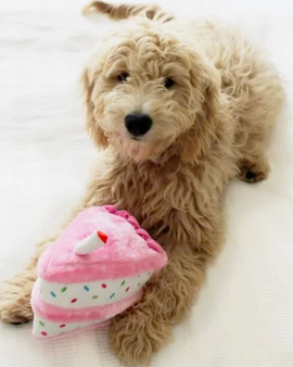 Zippypaws Birthday Cake Pink
