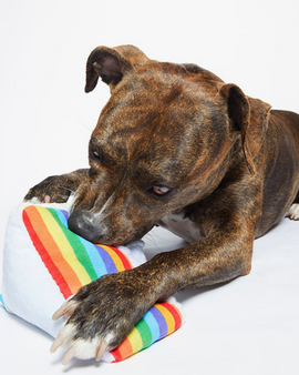 Bark Peace of Cake