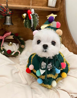 CHRISTMAS DECORATION PROPS SET FOR PET