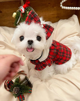 RED PLAID PRINCESS DRESS