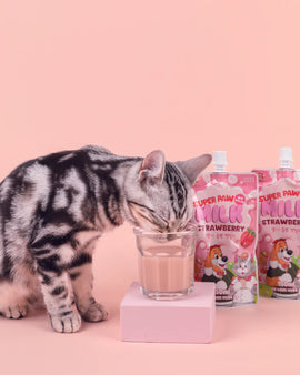 Super Paw Pet Milk Single Pack (Strawberry) 150mL