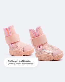 Dog shoes "Caesar 1" Blush