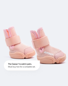Dog shoes "Caesar 1" Blush