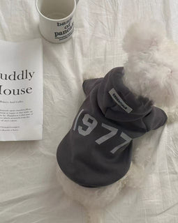 Casual 1977 Hoodie Sweatshirt