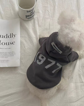 Casual 1977 Hoodie Sweatshirt