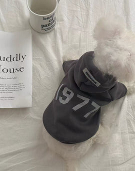 Casual 1977 Hoodie Sweatshirt