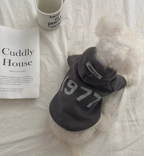 Casual 1977 Hoodie Sweatshirt