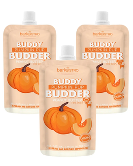 Dog Peanut Butter - 4oz Squeeze Packs Pumpkin Pup Budder