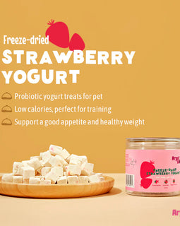 Arya Sit Freeze Dried Strawberry Yogurt