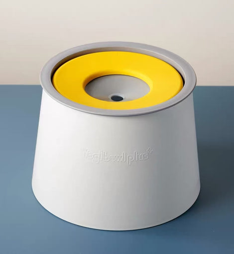 Yogipet Water Bowl Plus - Yellow Color