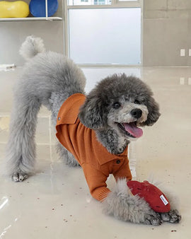 Sweet Potato Nosework Toy
