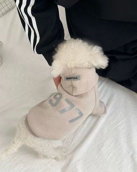 Casual 1977 Hoodie Sweatshirt