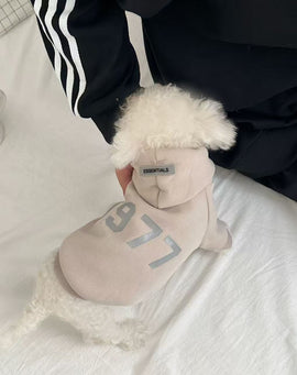 Casual 1977 Hoodie Sweatshirt