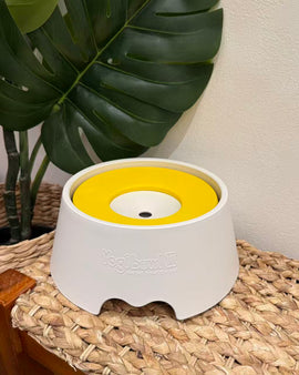 Yogipet Water Bowl 2 - Yellow Color