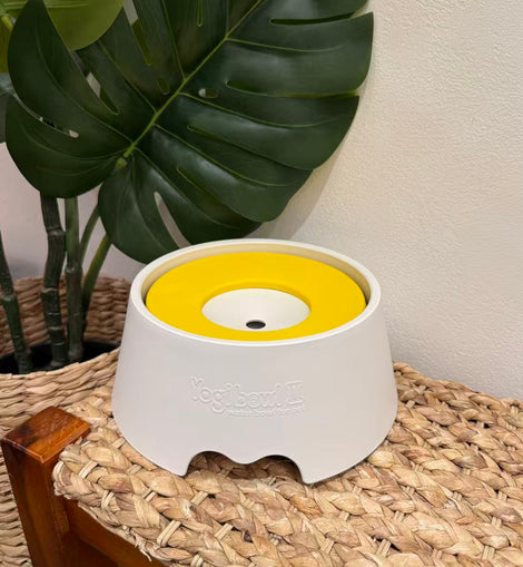 Yogipet Water Bowl 2 - Yellow Color