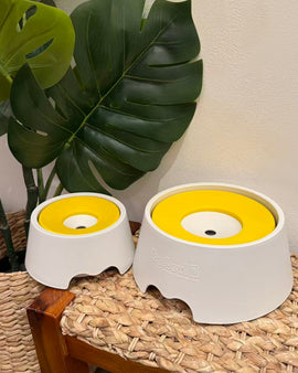 Yogipet Water Bowl 2 - Yellow Color