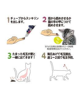 GENDAI Sukkirin Hairball Remedy for Cats