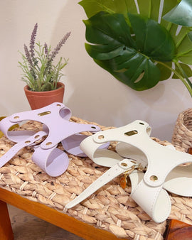 Pet Leather Harness & Leash Set