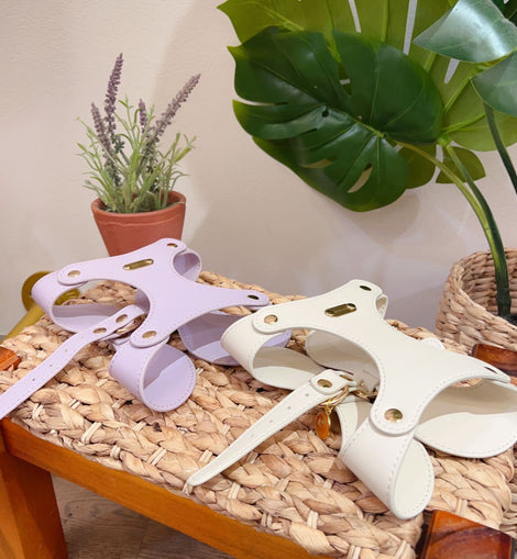 Pet Leather Harness & Leash Set