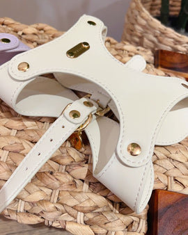 Pet Leather Harness & Leash Set