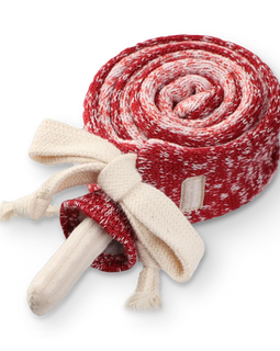Enrichment Dog Toy - Lollipop