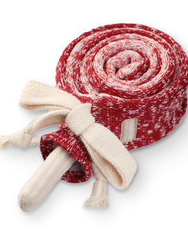 Enrichment Dog Toy - Lollipop