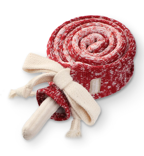 Enrichment Dog Toy - Lollipop