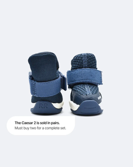 Dog shoes "Caesar 2" Navy