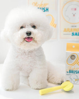 BITE ME Pin Brush for Small Dogs