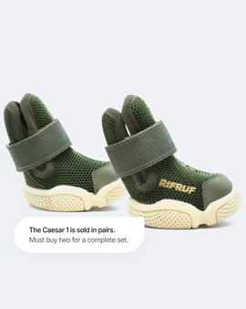 Dog shoes "Caesar 1" Birch