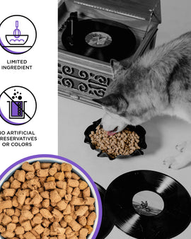 BIXBI Rawbble Lamb Recipe Grain-Free Freeze-Dried Dog Food 340g